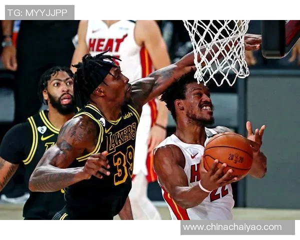 NBA总决赛湖人对热火精彩直播在线观看全程回顾与分析